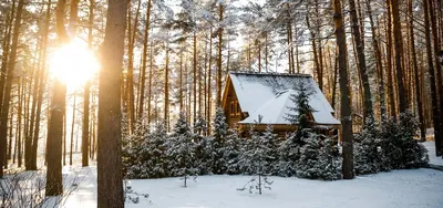 Фотопроект: сказочная зима в Лапландии – bit.ua Медіа про життя і  технології в ньому
