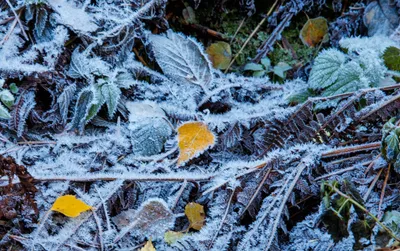 Vsava – Скоро зима (Winter is coming) Lyrics | Genius Lyrics