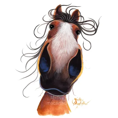 Рисунок смешная лошадка (44 фото) » Рисунки для срисовки и не только