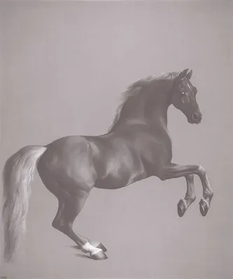 Рисунки коня прикол (42 фото) »