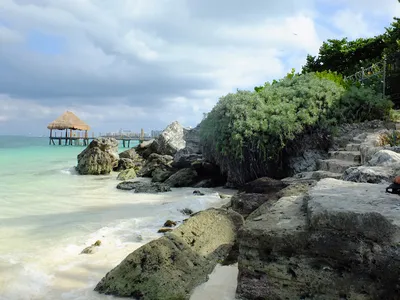 Пляжи с камнями в Канкуне и смешные птицы в бассейне - Путешествуй всегда!