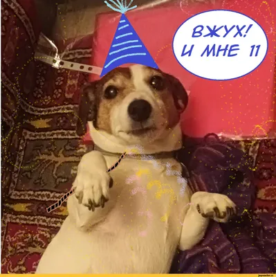 ♡☆ Ta Da~Happy Birthday! ☆♡ | Смешные поздравительные открытки, Открытки,  Милые открытки