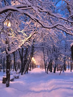 Снежный город - фото и картинки: 28 штук