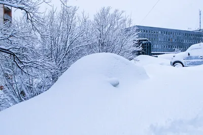 Снежный городок Эколят в «Светлячке