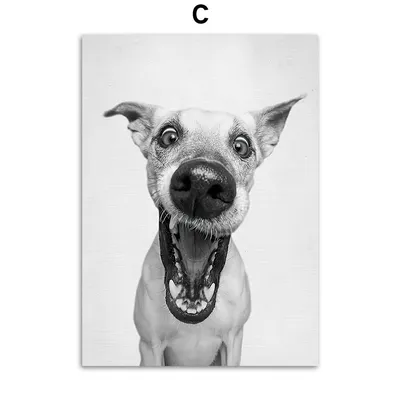 Картинка собака черно белая - 79 фото