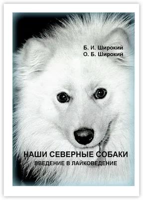 Экскурсия в питомник ездовых собак \"Северный\" для двоих в подарок в Москве  | Купить подарочный сертификат по ценам интернет-магазина  подарков-впечатлений