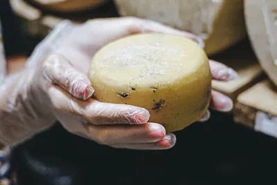 18 сортов итальянского сыра | Вояжист