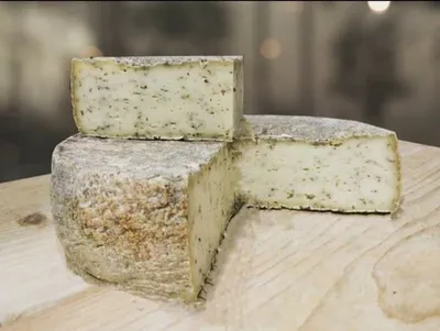 8 самых полезных сортов сыра для твоего здоровья | BroDude.ru