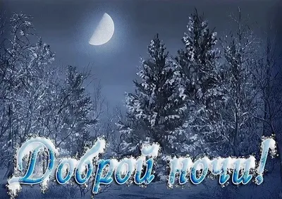 спокойной ночи привет зимний лес справочные материалы, зима, в снегу, лес  фон картинки и Фото для бесплатной загрузки