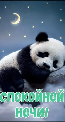 Картинки панда с цветами (63 фото) » Картинки и статусы про окружающий мир  вокруг