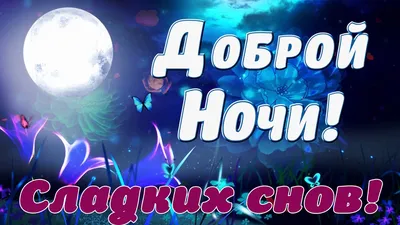 Необычные открытки \"Спокойной ночи!\" (333 шт.)