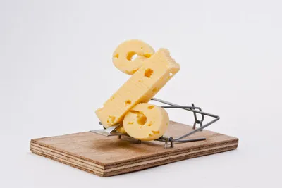 СберСпасибо - Утренняя загадка на злобу дня: Кто получит бесплатный сыр в  мышеловке? | Facebook