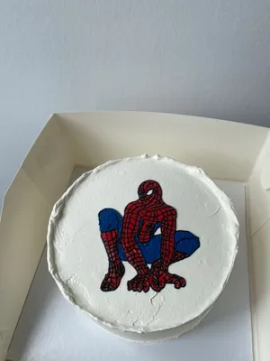 Бенто торт человек паук | Bolo