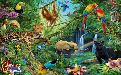Тропические животные картинки