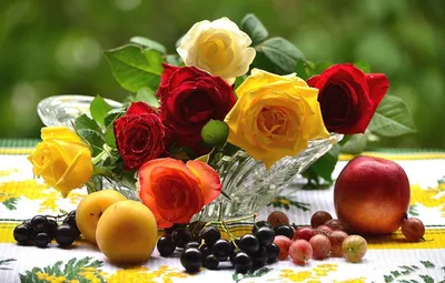 Цветы и фрукты - красивые фото