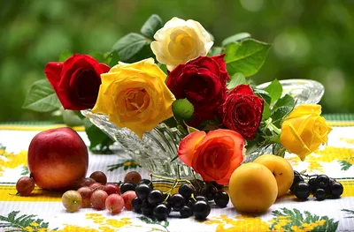 Цветы и фрукты (56 лучших фото)