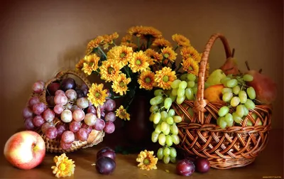 Цветы и фрукты в саду BOEU10, Буден Эжен - печатаные картины, репродукции  на холсте на UkrainArt
