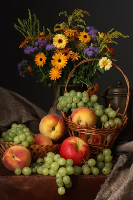 ботаническая иллюстрация, акварельные цветы, растения и фрукты виноград и  яблоки Stock Illustration | Adobe Stock
