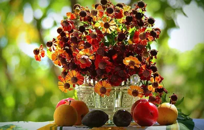 Осенние цветы и фрукты - 68 фото