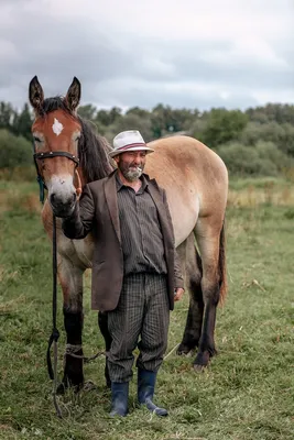 Nastroy - Цыганская лошадь - прекрасная порода | Facebook