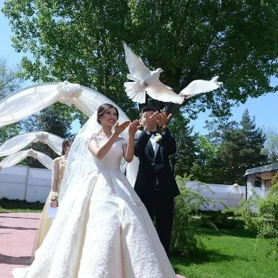 Веселая свадьба - 71 фото