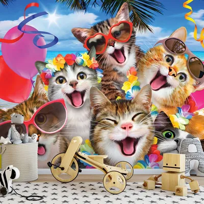 смешные кошки в корзине на полу Стоковое Изображение - изображение  насчитывающей расколите, ангстрома: 157054527