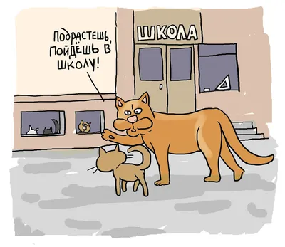 Пазл Eurographics 1000 деталей: Смешные кошки, Lucia Heffernan (6000-5522)  - купить в интернет магазине - 1001puzzle.ru