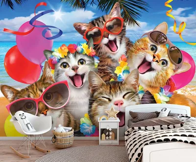 Веселые фотографии кошек: смех и шутки в одном кадре | Все про кошек | Дзен