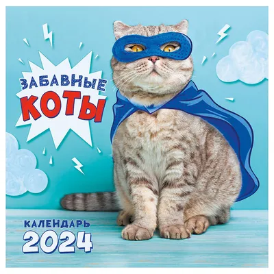 Стикерпак Набор наклеек Смешные Коты - купить с доставкой по выгодным ценам  в интернет-магазине OZON (1194545323)