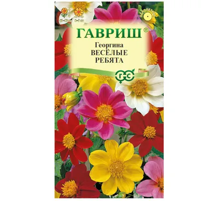 Цветы Георгина Веселые ребята, смесь (0,3г) - купить по выгодным ценам в  Москве и с доставкой по России