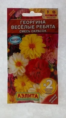 Георгины Веселые ребята смесь - купить семена в Украине дешево | Florium.ua