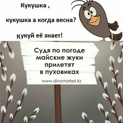 С первым Днем весны: прикольные картинки, Обозреватель | OBOZ.UA