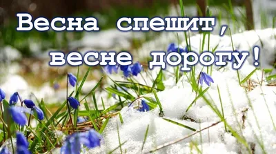 Весна спешит, Весне дорогу | Всероссийские и Международные конкурсы  \"Гордость страны\"