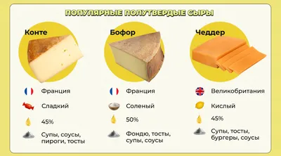 Виды сыров и названия: какие бывают сорта, список лучших разновидностей