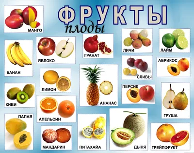 Все фрукты по алфавиту (61 фото) »