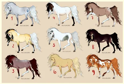 Породы лошадей с картинками. 37 пород лошадей для оформления