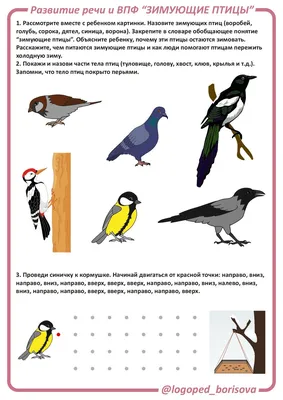 Загадки про зимующих птиц в картинках