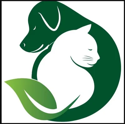 SaveUs Бельцы Волонтёрское движение защиты животных | Balti