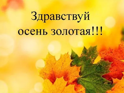 Здравствуй Осень золотая» 2022, Судиславский район — дата и место  проведения, программа мероприятия.