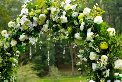 Зеленая свадьба: полный гайд по подготовке свадьбы в оттенках зеленого