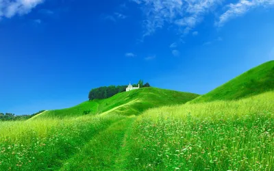 Зеленые поля - красивые фото