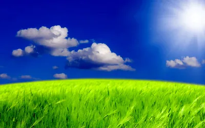 Фон зеленое поле и небо (101 фото) » ФОНОВАЯ ГАЛЕРЕЯ КАТЕРИНЫ АСКВИТ