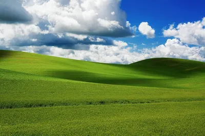 Потрясающие зеленые поля » BigPicture.ru
