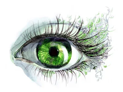 Green eye | Глаза, Цвет глаз, Зеленый