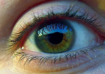 Khano - Зеленые глаза | Премьера трека 2022 - YouTube
