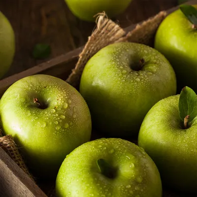 Маленькие зеленые яблоки на яблоне Стоковое Изображение - изображение  насчитывающей напольно, свежесть: 86919645