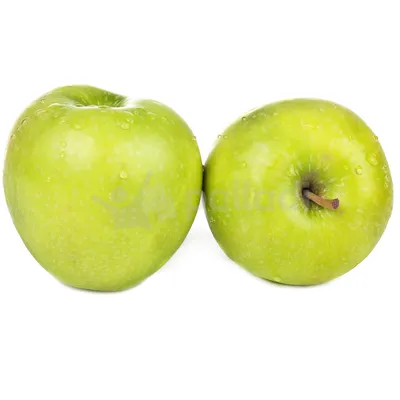 Яблоки на зиму: простые рецепты заготовки в домашних условиях с фото