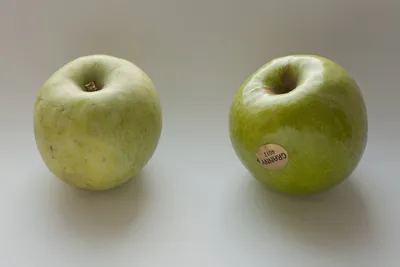 Зеленое яблоко рисунок - 69 фото