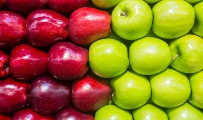 Какие яблоки самые полезные: зеленые, красные или желтые? Спорт-Экспресс