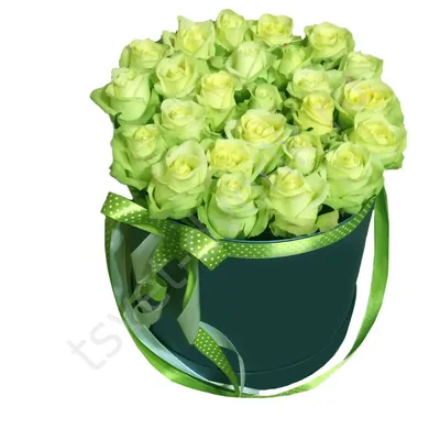 Букет зеленых роз от 7 шт. за 4 490 руб. | Бесплатная доставка цветов по  Москве